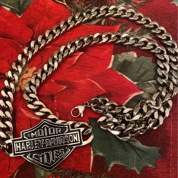 - Harley Big Chain, Jewelry for Men, BFF, HD - Picture 2 of 4